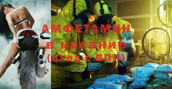 прущие грибы Алзамай