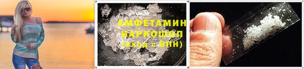 прущие грибы Алзамай