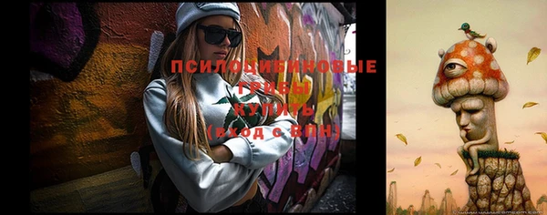 прущие грибы Алзамай