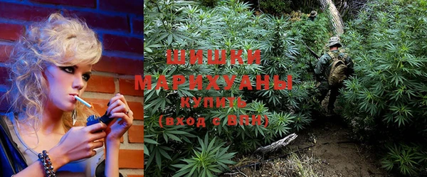 прущие грибы Алзамай