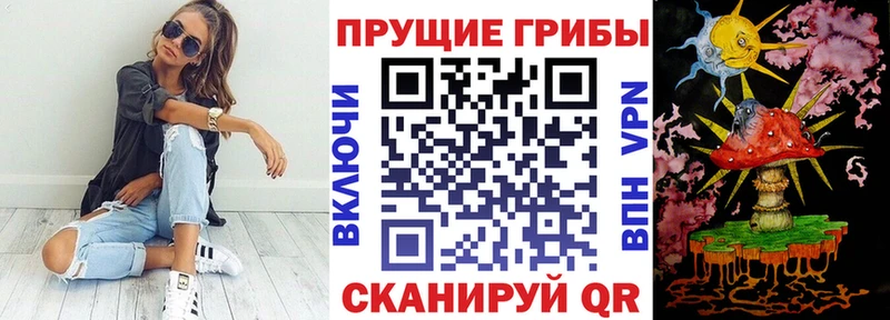 Галлюциногенные грибы GOLDEN TEACHER  где купить наркотик  Кореновск 